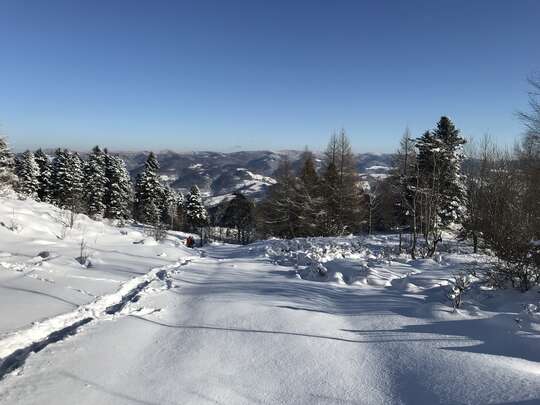 Zimowe Bieszczady