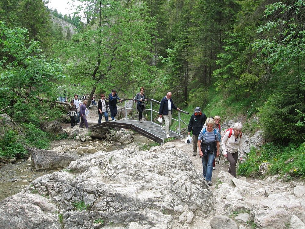 Wolne miejsca na wyjazd w Pieniny