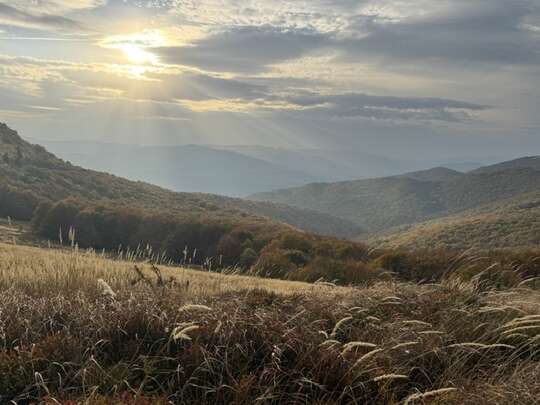 Wesołowskie śpiewo-granie